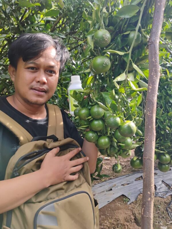 Galeri CV. Karya Sri Lestari (6) Galeri CV. Karya Sri Lestari (6)