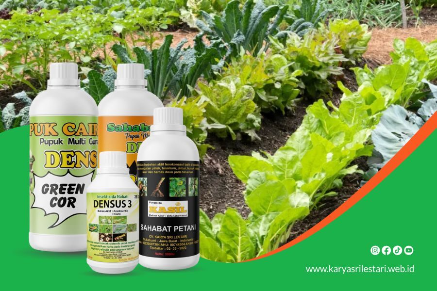 Jual Pupuk Terbaik Untuk Sayuran